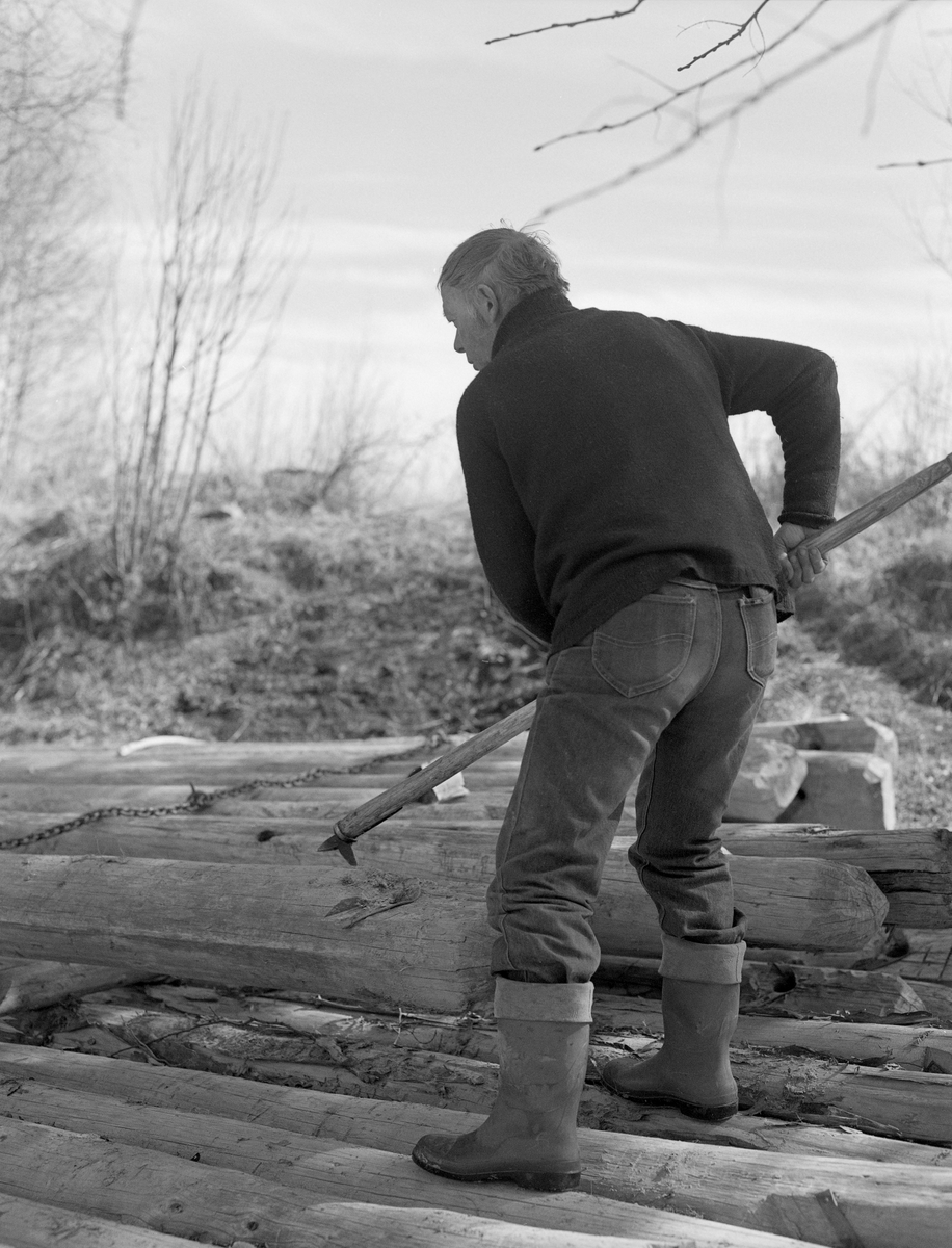 Tømmerfløteren Harald Husa ruller fram lensestokker som hadde ligget vinterlagret i ei floret velte på elvebrinken ved Elverum prestegard, på østsida av Glomma, like sør for kommunesenteret. Dette var tømmer som Glomma fellesfløtingsforening hadde kjøpt og bearbeidet med sikte på bruk i ei ledelense, som skulle styre fløtingstømmerets posisjon i elveløpet. Fotografiet viser hvordan fløterne hadde sikret floa med lensestokker ved hjelp av sammenkjedete «lensekoppel» (korte kjettinger) som skulle forebygge at stokkene rullet ut i elva før forberedelsene til fløtingssesongen startet.

En tekst som forteller hvordan Prestegardslensa fungerte finnes under fanen «Andre opplysninger».