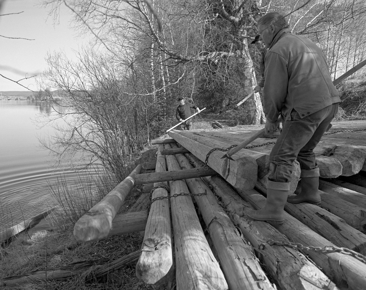 Tømmerfløterne Martin Berget, Håkon Skau og Harald Husa løsner lensestokker som hadde ligget florlaget ved Glommas østre bredd like nord for Elverum prestegard våren 1984, Dette var tømmer som Glomma fellesfløtingsforening hadde kjøpt og fått bearbeidet slik at det kunne gjenbrukes i ei ledelense sesong etter sesong. Lagringsmåten, med luftspalter mellom tømmerfloene, skulle sikre at lensetømmeret hadde gode flyteegenskaper. Fløterne hadde brukt sammenføyde «lensekoppel» (korte kjettinger) for å forebygge at tømmeret rullet mot elva før sesongforberedelsene startet. Da dette fotografiet ble tatt var karene i ferd med å rulle et par av de øverste og ytterste lensestokken nedover elveskråningen mot vannet, der de skulle kjedes sammen til ei ledelense.

En tekst som forteller hvordan Prestegardslensa fungerte finnes under fanen «Andre opplysninger».