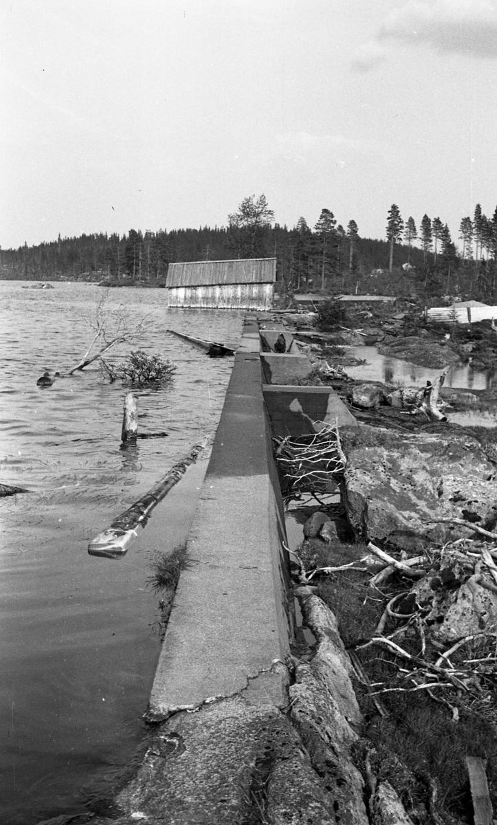 Dam i vestenden av Vassbråa. Bildet er tatt i juni 1953.
