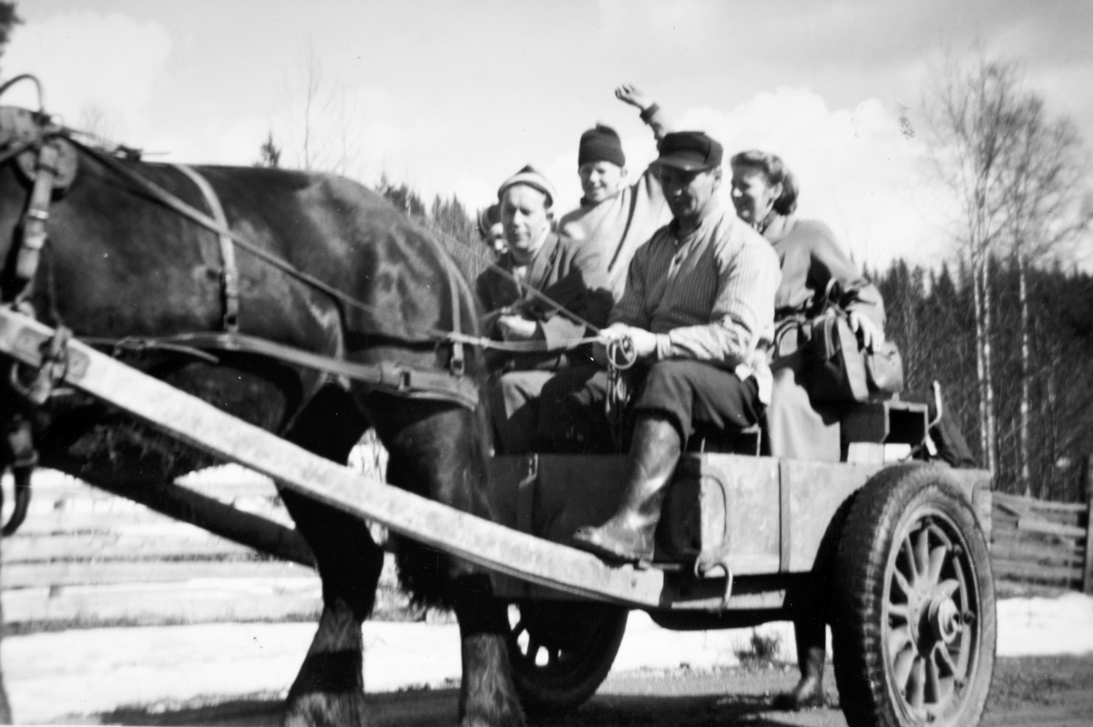 Hest og kjerre. Sverre Simensen kjører påskegjester, familien Solhaug, fra Gammelsaga til Veensvangen. Vegen var stengt for biltrafikk.