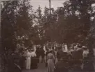 Musik vid midsommarstången.