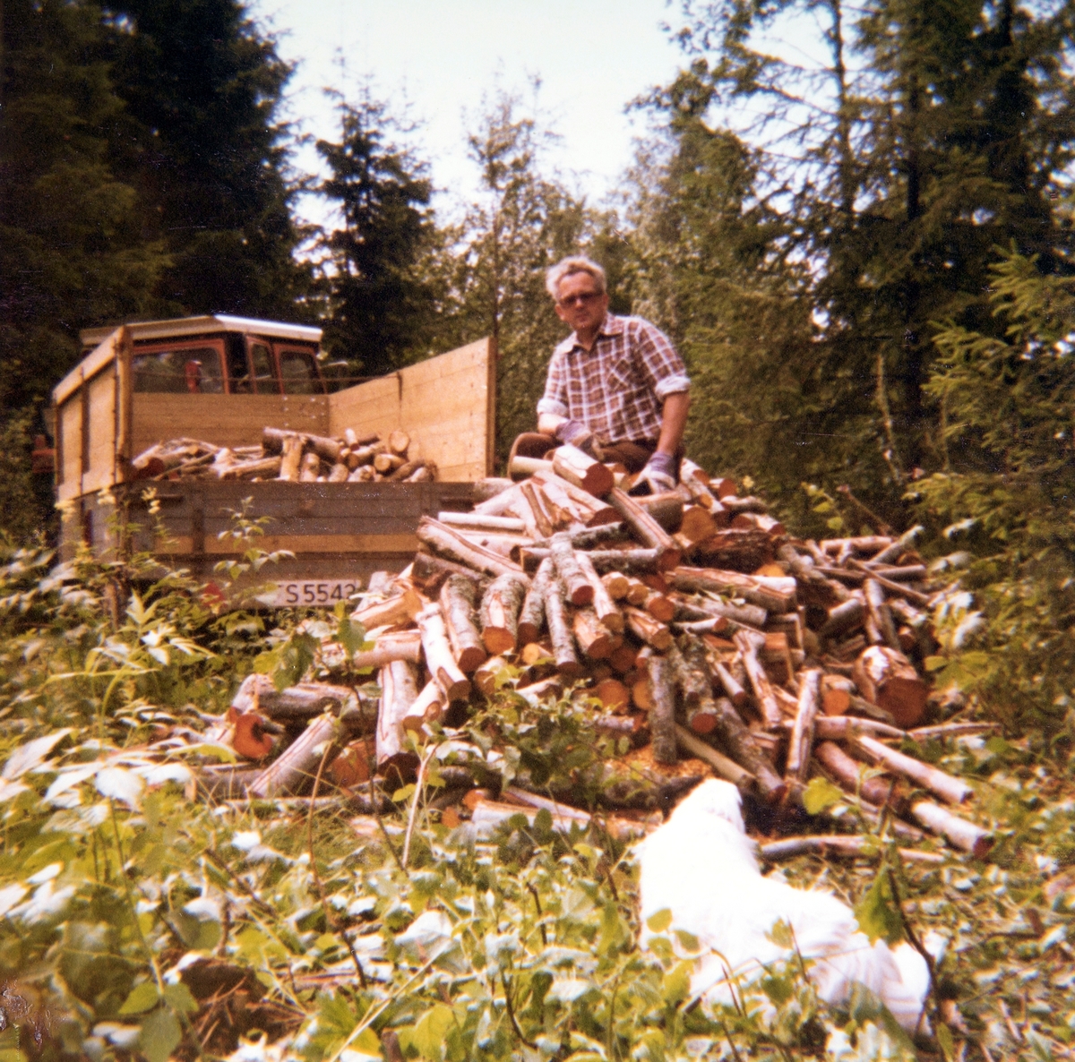 Leif Ramseth, vedkjøring fra Djupdalen, Stange.