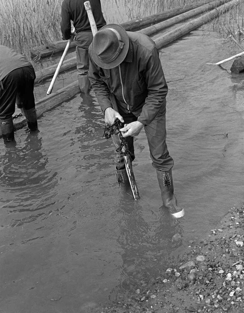 Tømmerfløteren Torbjørn Otterstad (1915-2000), fotografert ved Glommas bredd med et «lensekoppel» i hendene og en fløterhake under armen. Lensekoppelet var en kort kjetting som ble tredd gjennom «auger» (hull) i endene av lensestokkene, slik at de kunne kjedes sammen til et flytende stengsel. Lensekoplene ble låst ved å tre en jerntein, ei «nål», i den ene enden av kjettingen gjennom en ring i den andre enden. I Elverum, der dette bildet ble tatt, ble slike ledelensene kalt «slønglenser». Dette fotografiet ble tatt i 1984, den nest siste sesongen det ble fløtet tømmer i dette vassdraget.