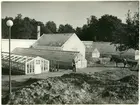 Västerås, Ängsgärdet, Myggbo.
Stadsträdgården, 1937.