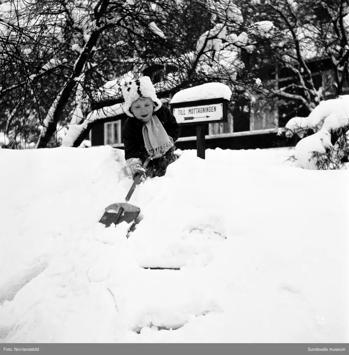 Snövintern 1951. Bilder från olika platser på glada barn som leker i snön. De tre första bilderna är troligen invid gamla Epidemisjukhuset vid Ludvigsbergsvägen, några av bilderna från parken norr om Flickskolan och GA-kyrkan.