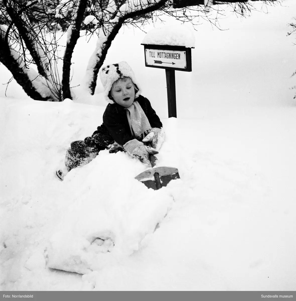 Snövintern 1951. Bilder från olika platser på glada barn som leker i snön. De tre första bilderna är troligen invid gamla Epidemisjukhuset vid Ludvigsbergsvägen, några av bilderna från parken norr om Flickskolan och GA-kyrkan.