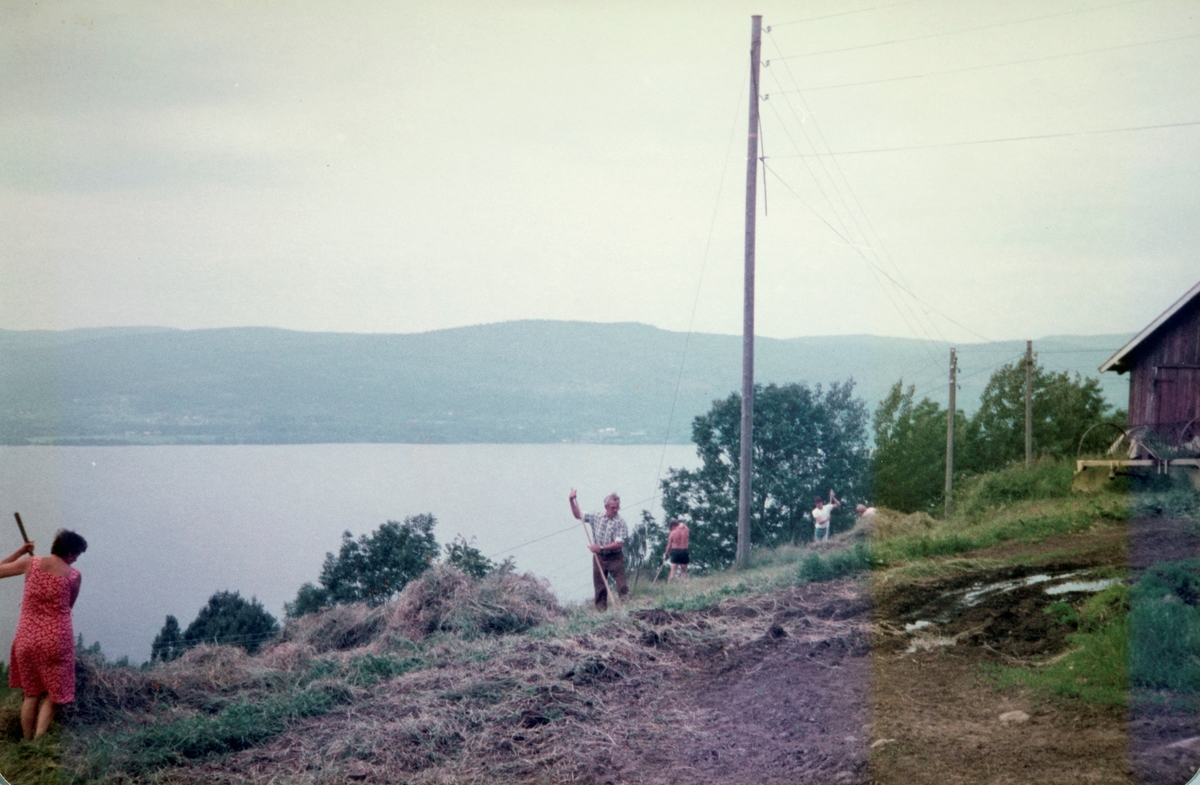Mostue, øvre, slåttonn