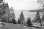 Tutaryd, Storesjö, 1946.