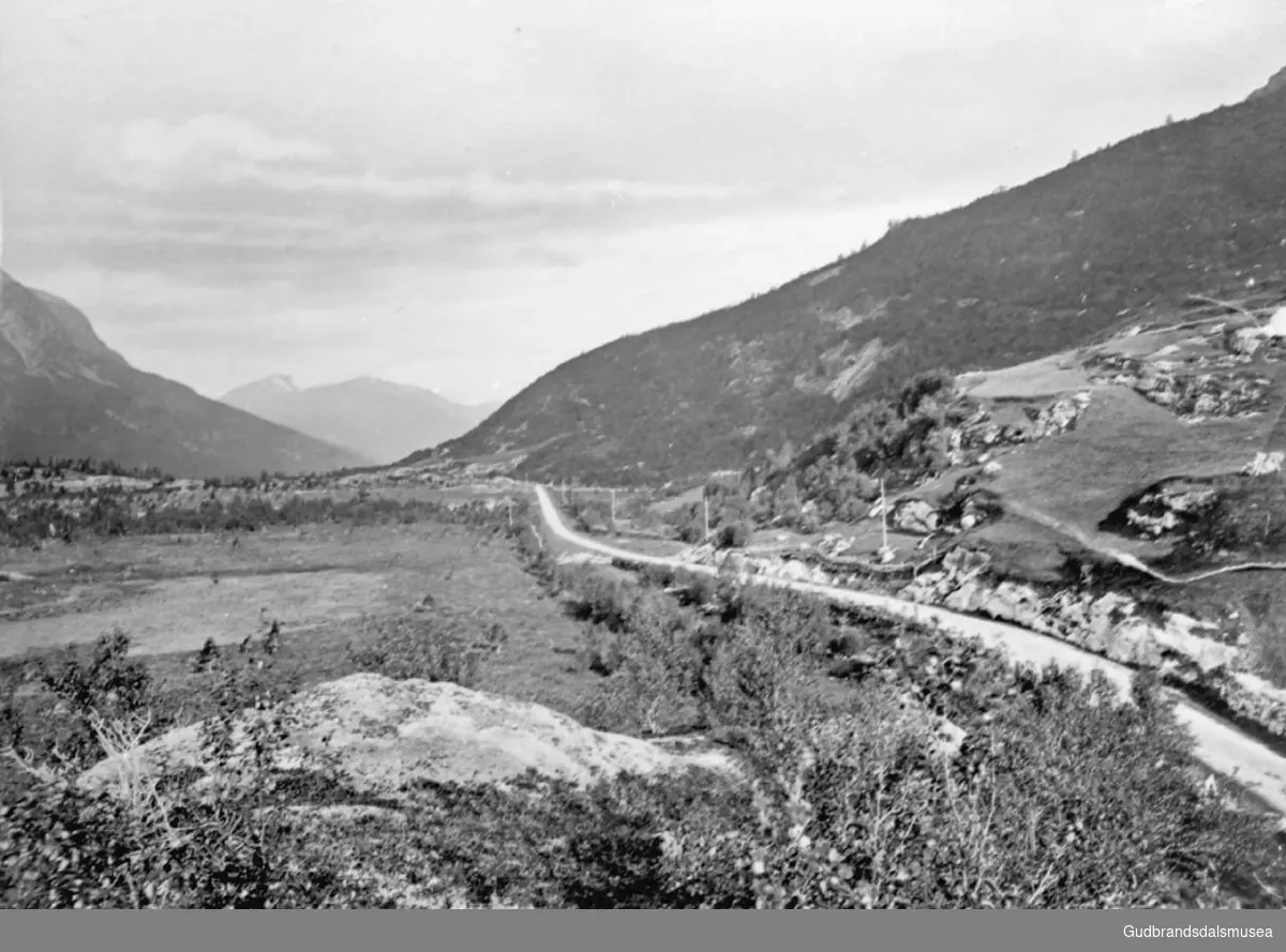 Parti fra Stuguflotten mot Romsdalen, en vei går innover i bildet, landskap med fjell og trær, det er sommer.