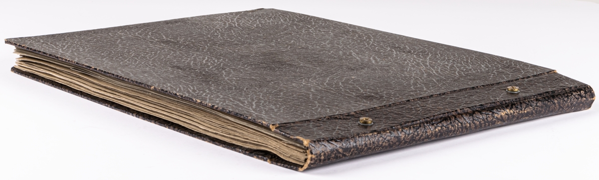 Fotoalbum innehållande skulpturer av Ida Matton. Inbunden läderpärm med pappsidor.