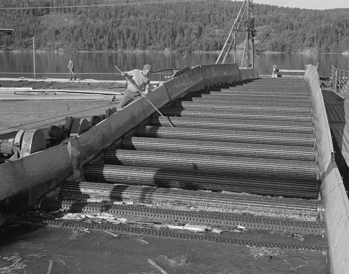 Detalj fra skrenserettingsmaskin av en ny type som ble montert ved lensene på Glennetangen i 1962-63. Noe høyere oppe i motstrøms retning (bak fotografen) var det en serie roterende piggvalser som tømmeret skulle under. Hver valse hadde sin egen motor. Her ble tømmeret drevet i suksessivt i økende hastighet fram mot ei «bru» – det skråplanet vi ser på dette fotografiet. Derfra ble virket kastet ned i en kum. Like ovenfor kummen var det et retterhjul på tvers av strømretningen som bidro til at stokkene kom rett og fint inn i renna. Her var det også et elektrisk drevet vannhjul som forsterket strømmen, og dermed bidro til at prosessen gikk noenlunde raskt. Dette fotografiet er tydeligvis tatt under en befaring på nyanlegget. Hovedpoenget med det nye materiellet var for øvrig å redusere bemanninga. På denne delen av lensa (som ble kalt «Søkke’») hadde det tidligere stått 16 menn med fløterhaker og rettet «skrens». Glennetangen lenser skal ifølge veteraner fra anlegget ha fått to slike skrenserettingsmaskiner i 1963, men en av dem ble cirka fem år seinere flyttet til Fetsund lenser. I bakgrunnen på dette fotografiet skimter vi en stolpekonstruksjon som bærer en transformator som var viktig for strømforsyninga til anlegget. Strømforbruket ved Glennetangen lenser økte med cirka 60 prosent etter at rettemaskinene og vaiertrekk som dro tømmeret raskere ned mot mosemaskinene ble installert. De utgiftsøkningene dette innebar var imidlertid langt mindre enn de beløpene Glomma fellesfløtingsforening spare ved å kunne drive lenseanlegget med betydelig redusert bemanning.