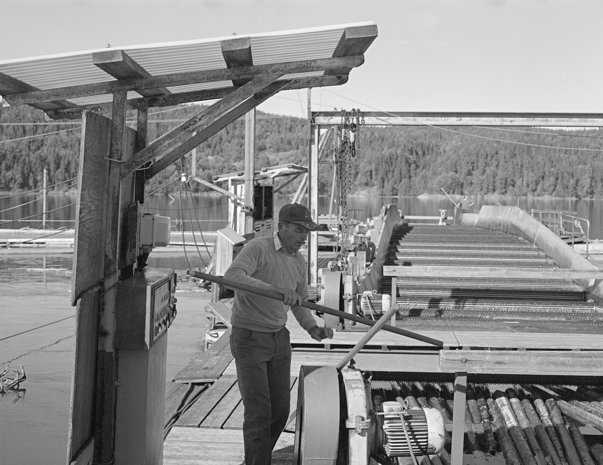 En av fløterne ved Glennetangen lense i Nedre Glomma, fotografert ved rettemaskinen, som ble installert ved dette anlegget tidlig i 1960-åra. Retteanlegget var konstruert som ei oppoverbuet bru med roterende piggvalser som først løftet tømmeret opp og deretter førte stokkene noenlunde parallelt ned i kanalen, der strømmen i vannet, der overflatestrømmen i elva førte dem langsomt gjennom sorteringsanlegget. De bevegelige komponentene i sorteringsmaskinen ble drevet av en serie elektromotorer som kunne startes og stanses ved hjelp av bryterpaneler som var montert på stativer med pulttak på gangbanen ved sida av rettemaskinen.