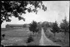 Bondgården Törnestorp