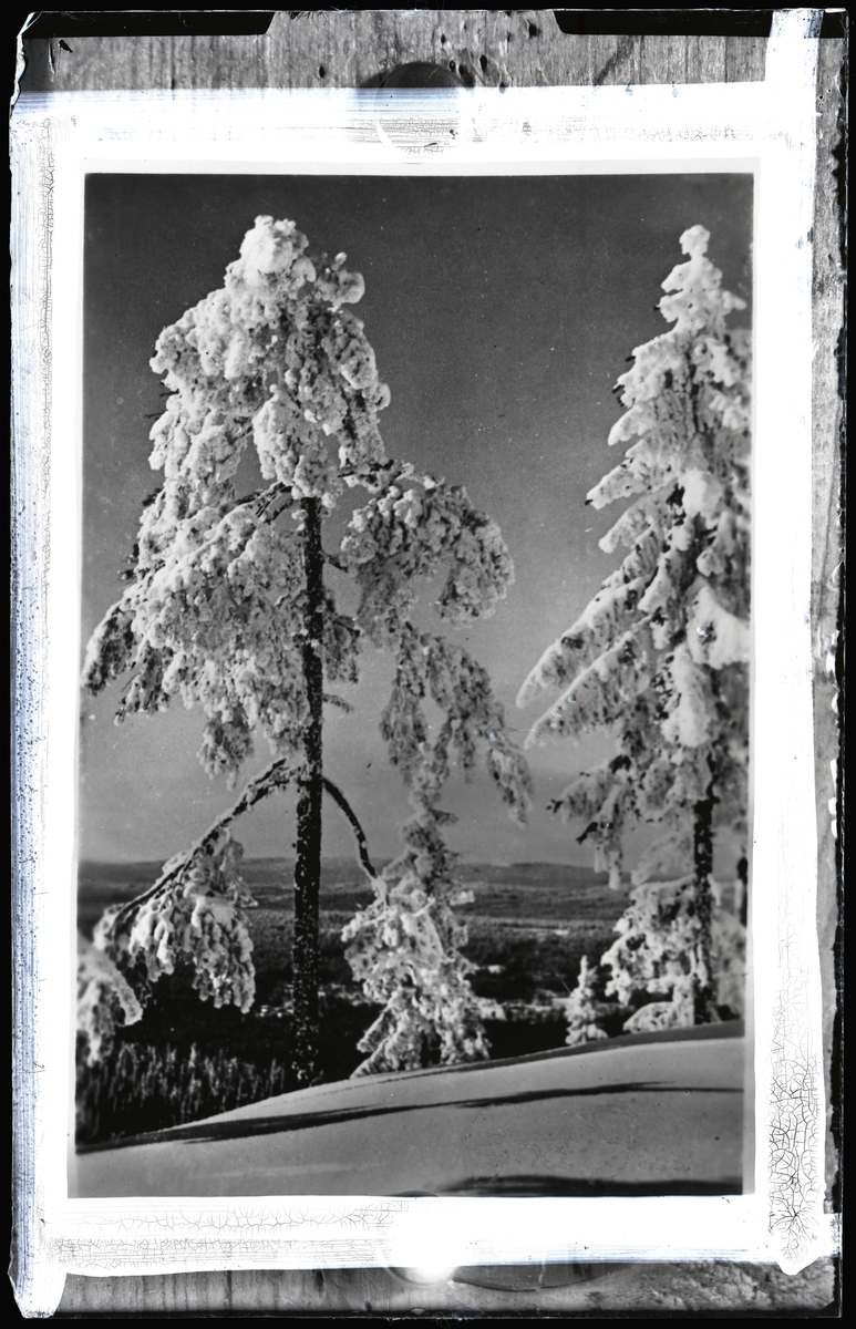 Vinterbild