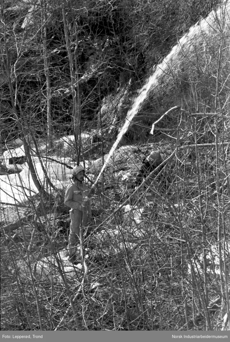 Det har tatt fyr i småskogen over Dale Bakhus, og brannvesenet slukker brannen.