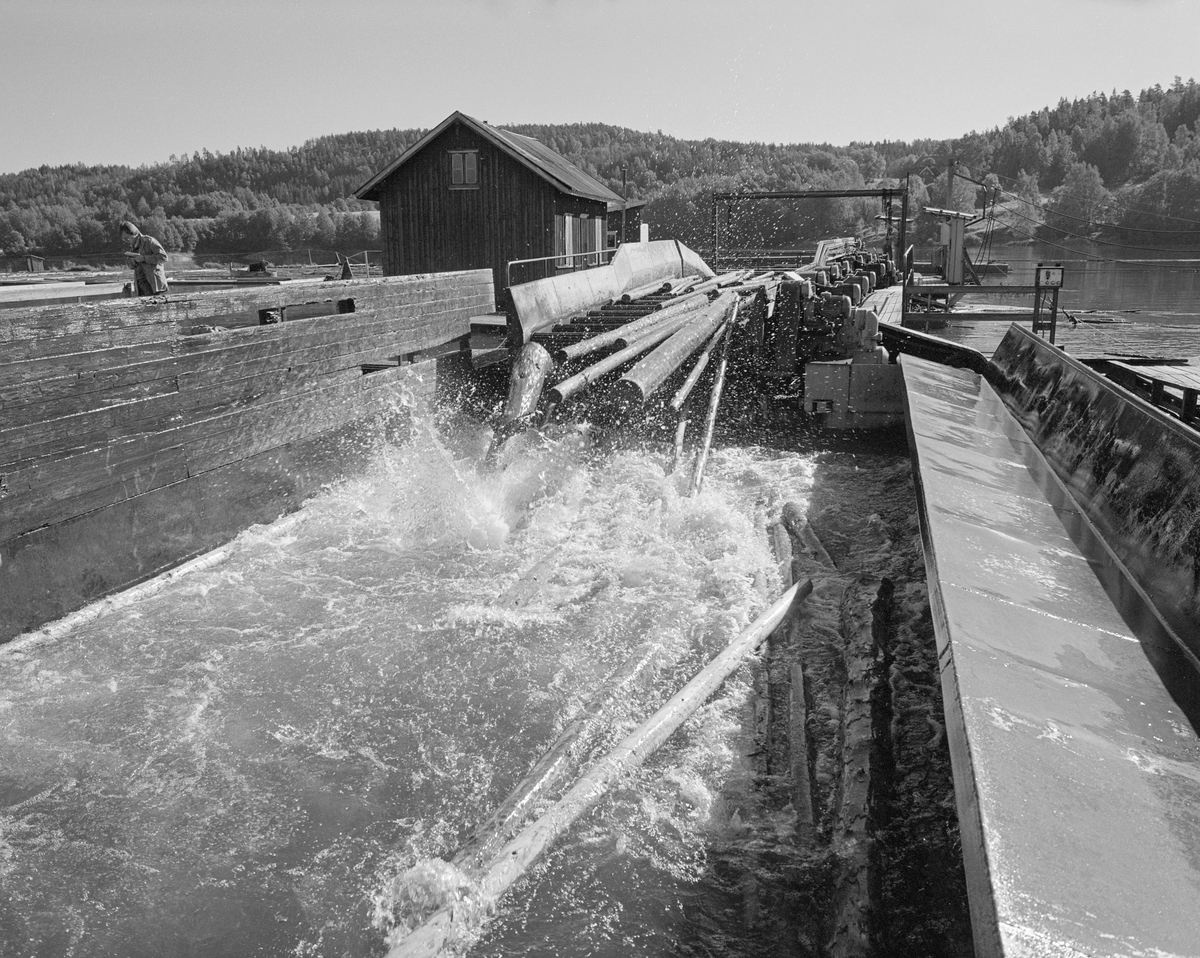 Detalj fra skrensrettingsmaskin av en ny type som ble montert ved lensene på Glennetangen i 1962-63. Noe høyere oppe i motstrøms retning var det en serie roterende piggvalser som tømmeret fra den ovenforliggene beholdningslensa skulle under. Hver valse hadde sin egen motor. Her ble tømmeret drevet i suksessivt økende hastighet fram mot ei «bru» – en konstruksjonen stokkene passerer på dette fotografiet. Derfra ble virket kastet ned i en kum. Like ovenfor kummen var det et retterhjul på tvers av strømretningen som bidro til at stokkene kom rett og fint inn i renna hvor det skulle flyte ned mot mosemaskinene, hvor det ble buntet. I den øvre delen av renna var det også et elektrisk drevet vannhjul som forsterket strømmen, og dermed bidro til at prosessen gikk noenlunde raskt. Hovedpoenget med å installere dette materiellet var for øvrig å redusere bemanninga. På denne delen av lensa (som ble kalt «Søkke’») hadde det tidligere stått 16 menn med fløterhaker og rettet «skrens». Glennetangen lenser skal ifølge veteraner fra anlegget ha fått to slike skrenserettingsmaskiner i 1963, men en av dem ble cirka fem år seinere flyttet til Fetsund lenser. Strømforbruket ved Glennetangen lenser økte med cirka 60 prosent etter at rettemaskinene og vaiertrekk som dro tømmeret raskere ned mot mosemaskinene ble installert. De utgiftsøkningene dette innebar var imidlertid langt mindre enn de beløpene Glomma fellesfløtingsforening spare ved å kunne drive lenseanlegget med betydelig redusert bemanning.

Mannen til venstre i bildet er historikeren Øivind Vestheim, som dokumenterte fløtingsaktiviteten for Norsk Skogbruksmuseum.