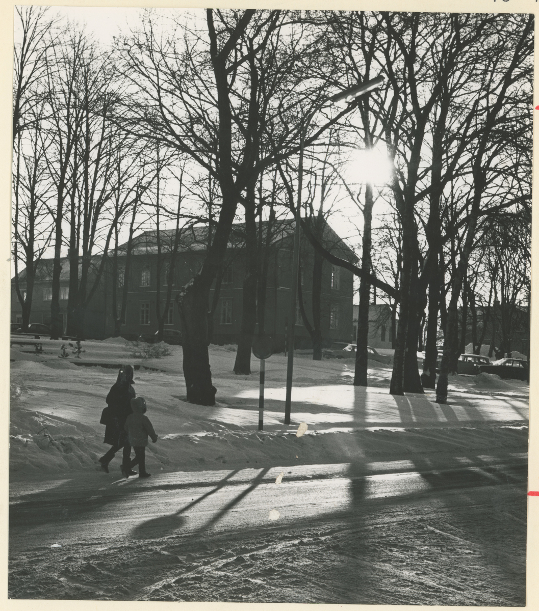 Tre gatebilder, 1970-årene. Trykk på pilen.

Bilde 1:
Frithjof Nansens gate mot syd. Øverst til venstre: sykehushagen (det tidligere sykehuset).

Bilde 2:
Fra Kirkeparken. I bakgrunnen: mursteinshus (leiegård) i Fleischers gate.

Bilde 3:
Kirkeparken med Moss Lysverker sin tidligere administrasjonsbygning hvor også Magda Lauritzen hadde sin fotoforretning.