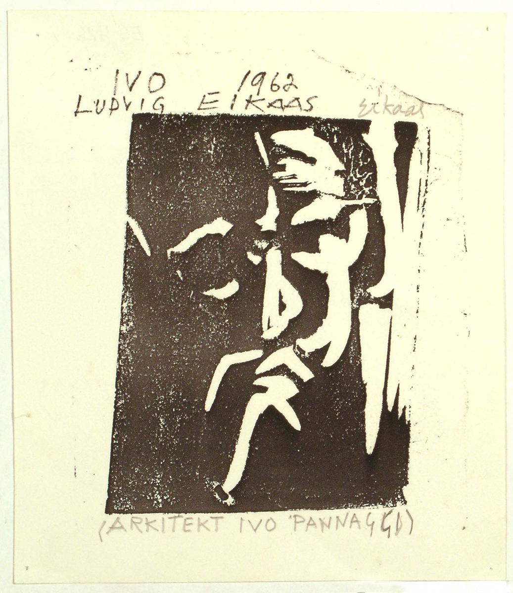 Arkitekt Ivo Pannaggi
