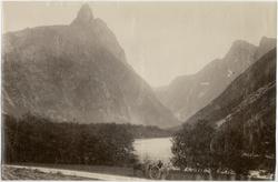 Romdalshorn i Norge. I förgrunden häst med vagn samt en kvin