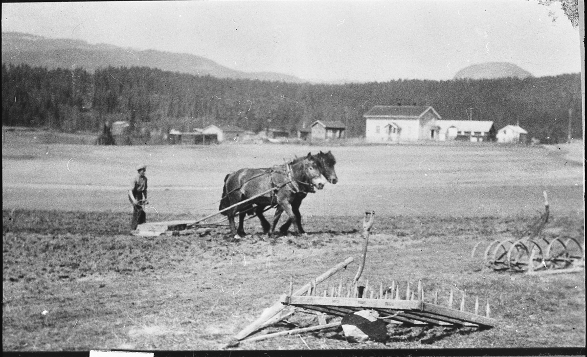 Harving - rulleharving med to hester. I forgrunnen såharv og fjørharv. Eidal skole i bakgrunnen. Omkring 1938.