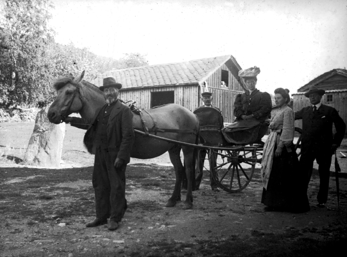 Hest med karjol. En kvinne i karjolen.