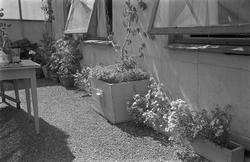 Hjemme hos Ulf Selmer.