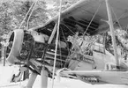 Sidovy av flygplan Gloster Gladiator gul I efter brand vid oaktsamhet vid tankning. Vid F 19, Svenska frivilligkåren i Finland, 1940.