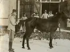 Soldat och häst framför en byggnad.