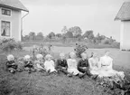 Från liten till större. Fotograf Hultgren har arrangerat makarna Brafs barn inför en session 1904. Barnen var Carl Anton Brafs och Anna Sofia Adolfdotters telningar och hemmahörande i Alvestorp i Ingatorp socken.