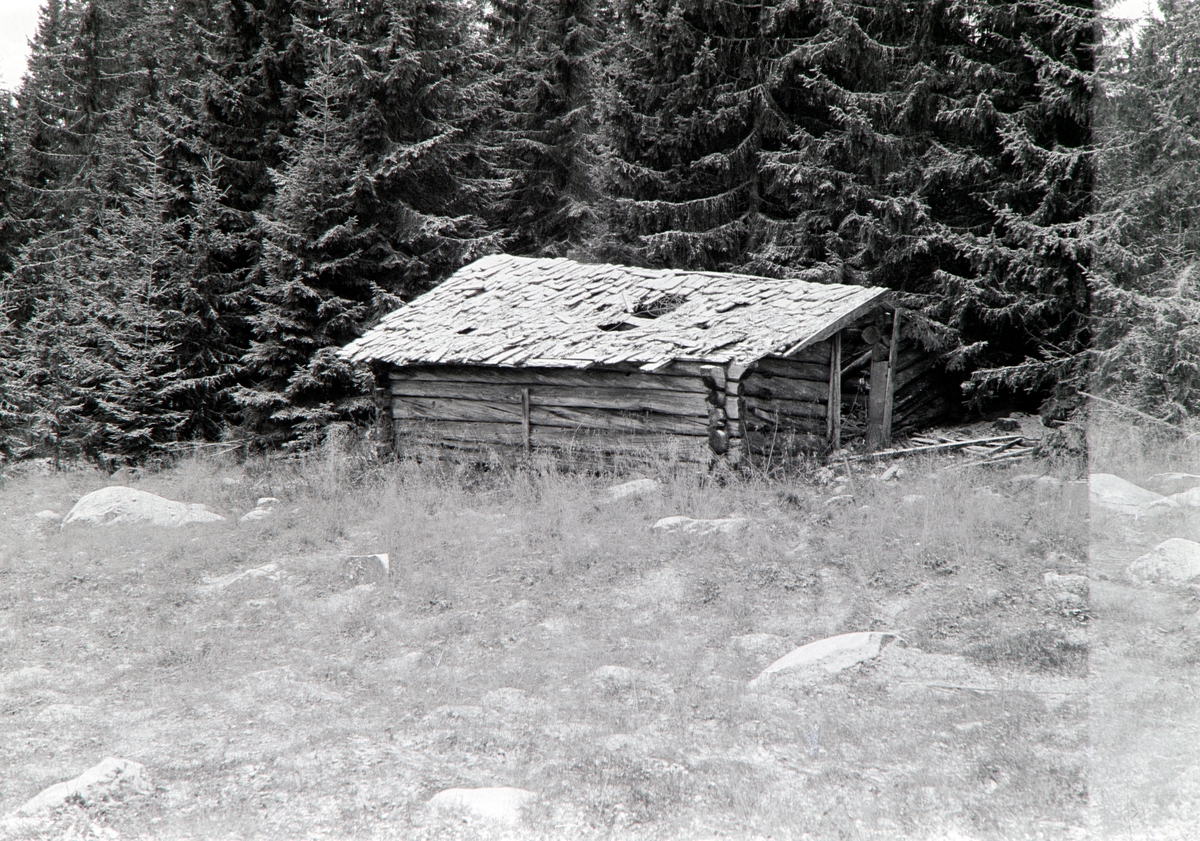RUSKÅSEN SETER, Tommelstad, FURNES ALM. i Ringsaker. Småfehus, sauehus før riving. Sett fra sørvest. 