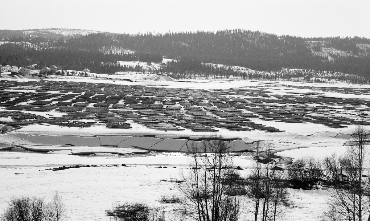 Tømmertillegging på snø og is i Sjøenden, altså i den søndre enden av Osensjøen, også kjent som Søre Osen i Trysil kommune. Fotografiet ble tatt vinteren 1960 fra en posisjon på østsida av sjøen, i nærheten av garden Østenheden. Vi ser over den islagte og snødekte sjøen mot gardsbrukene Myrum og Farmen på den andre sida. Tømmeret lå i «flaker» eller «floer» - tette parallelle lag - med vinkelrett på et par underlagsstokker som skulle forebygge at tømmeret ble nedfrosset om det skulle komme overvann på isen i løpet av ettervinteren og våren. Hvis alt gikk som det skulle, ble dette tømmeret løftet av vannspeilet når våren kom. Deretter ble det samlet i ringbommer og buksert nordover mot Osensjøens avløp, elva Søndre Osa, ved hjelp av slepebåten Trysilknut. Tømmeret ble kjørt til Sjøenden fra omkringliggende skoger, for i denne enden av Osensjøen var det ingen godfe fløtingsvassdrag som førte mot sjøen. I 1960 kan nok noe av virket ha kommet østfra på lastebiler også, for bedriftene ved den nedre delen av Glommavassdraget betalte gjennomgående bedre for fløtingsvirket en treforedlingsindustrien i Värmland, som fikk mye av sin råstofftilførsel via Trysilelva (Klarälven).