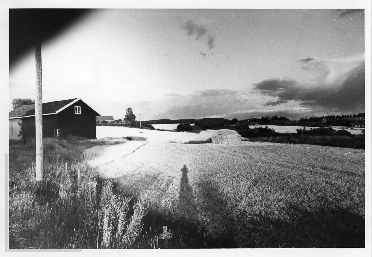 Halmlagring på Hilden gård, stakk med halm