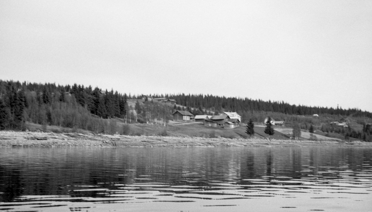 Fra Mellomgard i Søre Osen, på østsida av Osensjøen i Trysil kommune, sommeren 1941. Fotografiet er tatt fra båt inn mot ei strand der det ligger tømmer som ennå ikke var utislått, sjøl om bildet ble tatt 6. juni.  I og med at vannstanden i sjøen var lav, må det har vært arbeids- og tidkrevende å få gjennomført utislaget.  I hellinga ned mot sjøen ligger flere små gardsbruk med omliggende jordveg.  Landskapet omktring preges av skog, lauvskog mot sjøen og barskog oppover i åsen.

I 1941 ble 150 683 tømmerstokker innmeldt til fløting fra Osensjøens strender. Dette utgjorde om lag 30 prosent av leveransene i Osenvassdraget. Det øvrige virket kom fra tilløpselvene og fra avløpselva Søndre Osa med sidevassdraget Østre Æra. 1941 ble for øvrig en helt spesiell fløtingssesong i Osen. Glommens og Laagens brukseierforening tappet nemlig sjøen kraftig foregående vinter. Ettersom det var lite snø og en kjølig vår med lite nedbør, tok det lang tid å fylle sjøen igjen. Her lå det fortsatt tømmer i ei tørrlagt strandsone, sjøl om bildet er tatt i juni. Tappinga av fløtingsvirke gjennom Osdammen ble ikke startet før 4. august. Dette innebar etterfløting i Glomma sør for Rena, der østerdalstømmeret for lengst hadde passert, og ikke ubetydelige ekstrakostnader for Glomma fellesfløtingsforening. Utgiftene knyttet til utislagsarbeidet langs Osensjøens strender ble en forhandlingssak mellom skogeierne og Brukseierforeningen.