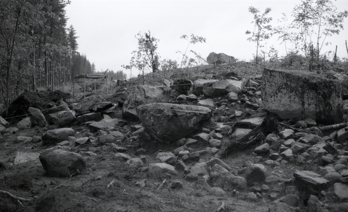 A 1285, gränsröse, RAÄ 482. Foto från nordnordväst.