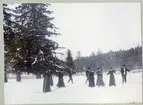 Stockholm. 
En grupp män och kvinnor åker skidor. 1901.