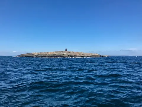 Vi går strås med eneboeren på Heia