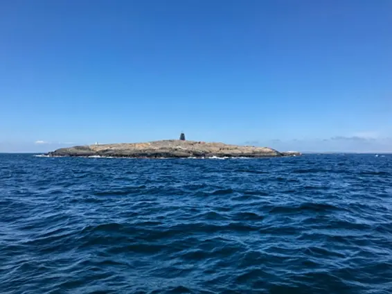 Vi går strås med eneboeren på Heia