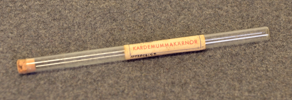 Glasrör som ettiketten innehållit extra prima kardemummakärnor
