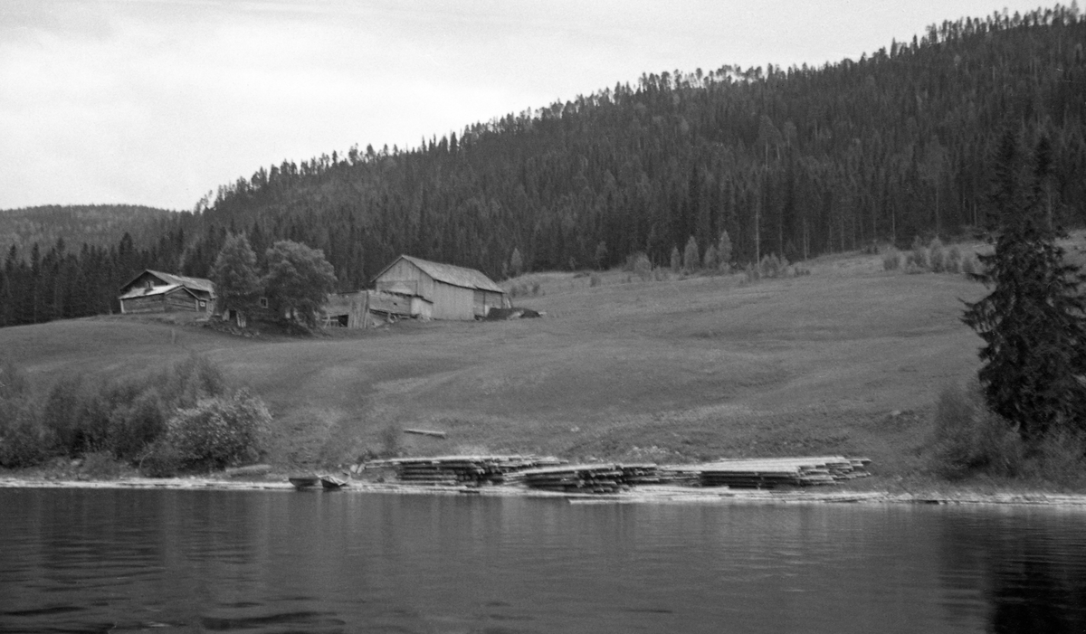 Tømmertillegging ved Storsjøen i Rendalen.  Fotografiet er tatt fra båt mot stranda like ved gardsbruket Sørensplassen på vestsida av sjøen.  Virket er florlagt i lave stabler langs strandkanten, nederst på grasvollene som omgir det lille bruket.  Sørensplassen lå på en bakkekam et par steinkast opp fra sjøen.  Fotografiet gir et inntrykk av hvordan tunet var oppbygd med mange små bygninger, i hovedsak laftekonstruksjoner. 