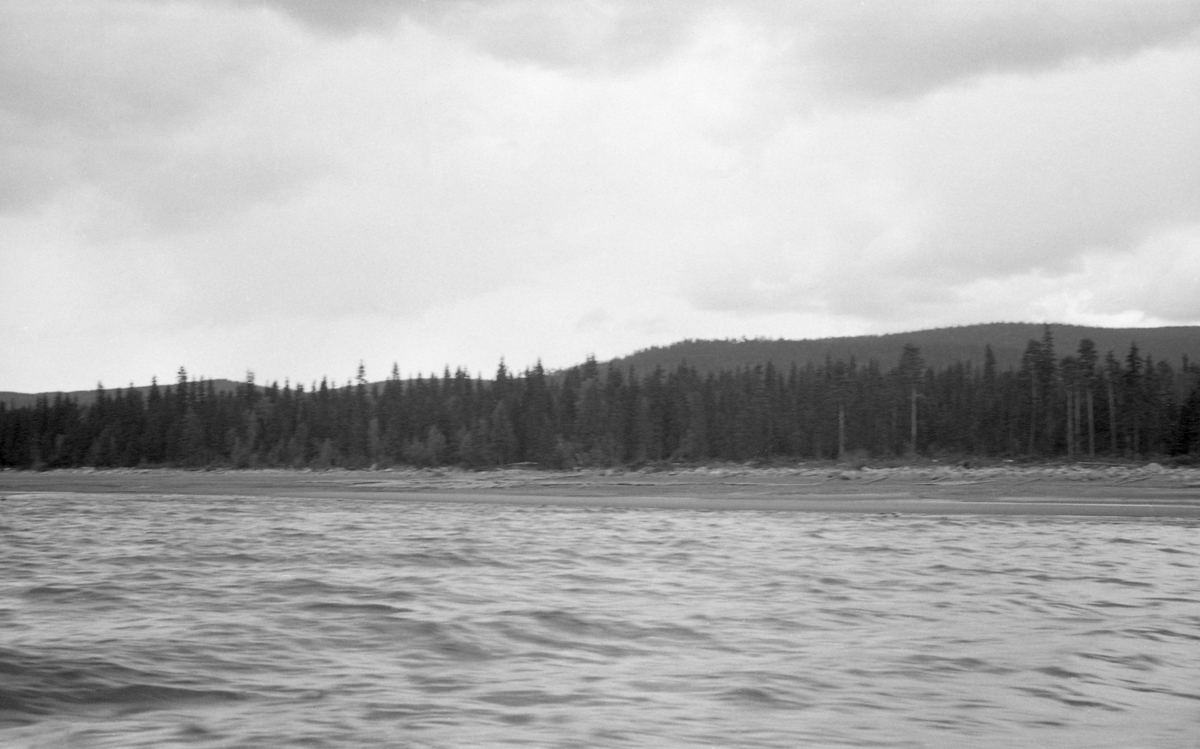 Fra Fuglesanden ved Osensjøen sommeren 1941. Fotografiet er tatt fra båt inn mot land, der det ligger en god del tømmer oppover strendene til tross for at opptaket ble gjort i juni. Sjøen var tappet såpass langt ned at utislagsarbeidet må ha blitt krevende. I bakgrunnen står barskogen tett.

I 1941 ble 150 683 tømmerstokker innmeldt til fløting fra Osensjøens strender. Dette utgjorde om lag 30 prosent av leveransene i Osenvassdraget. Det øvrige virket kom fra tilløpselvene og fra avløpselva Søndre Osa med sidevassdraget Østre Æra. 1941 ble for øvrig en helt spesiell fløtingssesong i Osen. Glommens og Laagens brukseierforening tappet nemlig sjøen kraftig foregående vinter. Ettersom det var lite snø og en kjølig vår med lite nedbør, tok det lang tid å fylle sjøen igjen. Her lå det fortsatt tømmer i ei tørrlagt strandsone, sjøl om bildet er tatt i juni. Tappinga av fløtingsvirke gjennom Osdammen ble ikke startet før 4. august. Dette innebar etterfløting i Glomma sør for Rena, der østerdalstømmeret for lengst hadde passert, og ikke ubetydelige ekstrakostnader for Glomma fellesfløtingsforening. Utgiftene knyttet til utislagsarbeidet langs Osensjøens strender ble en forhandlingssak mellom skogeierne og Brukseierforeningen.