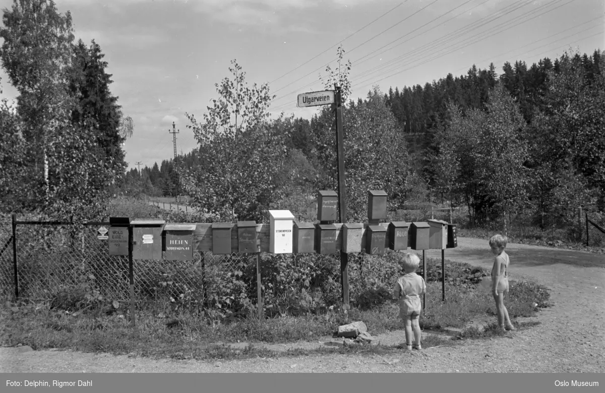 gjerde, postkasser, gutter, veikryss, veiskilt, skog