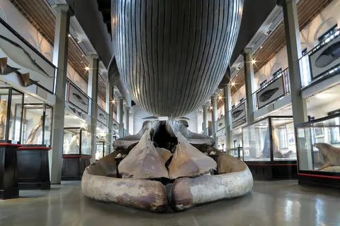 Kommandør Chr. Christensens Hvalfangstmuseum