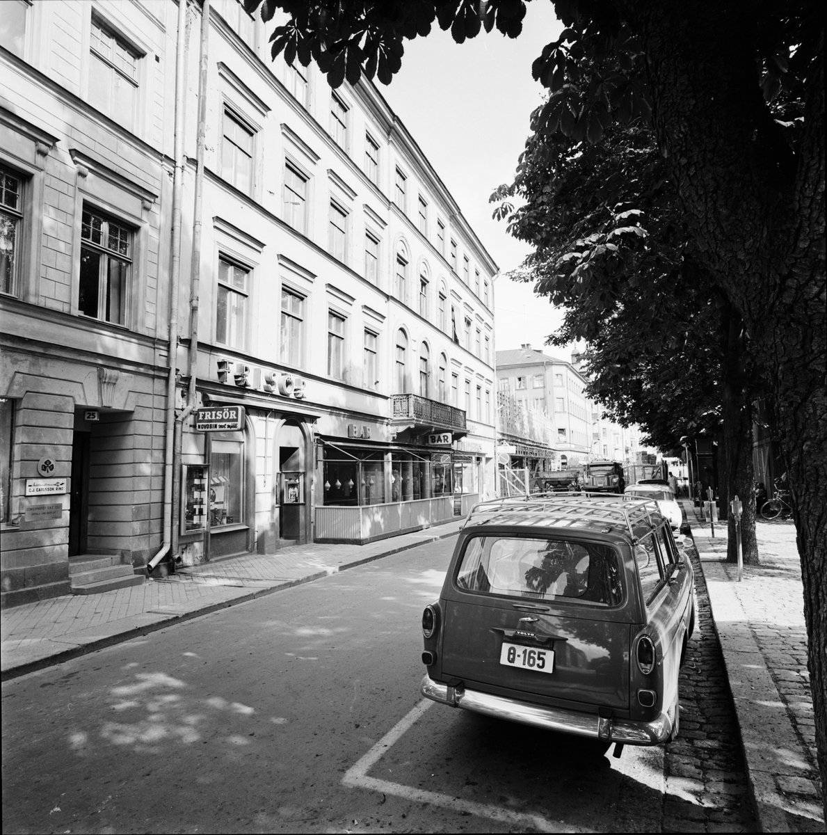 02349wzAu3PX?dimension=1200x1200