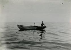 Dory: 'Kobben' eller 'Robben'