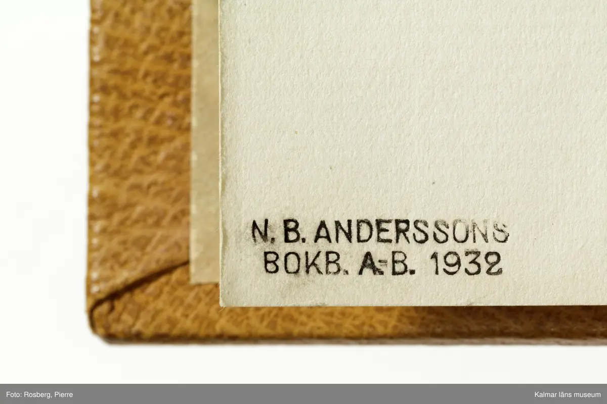 Ett stort antal motiv från Öland, kulturhistoriska platser samt landskapsmotiv.

I boken finns motiv i nämnd ordning: Ölands landskapsvapen; Borgholms slott; Alvaret; Köpings klint; Tingsflisa; barken Dovres förlisning; gravfält vid Klinta, Köping; I Repplinge; Persnäs kyrka; Rynings kors Persnäs, Långlöts kyrka; I Högsrum; Galjbacken Högsrum; Böle backe Glömminge; Kvarn vid Stora Rör; Bramstedtsgården i Strandskogen Glömminge; Öländsk västkust mellan Röhälla och Stora Rör; vägen till Möllstorps läggning; Linsänkan Glömminge; Algutsrums kyrka 1827 och 1919; Portparti vid Gråborg; Sankt Knuts kapell??; I Björnhovda bygata; vid Torslunda kyrka; Eriksöre gärden, Torslunda; Gammal stuga i Runsbäck, Torslunda; vikingagrav med vårdhållare, Skogsby, Torslunda; källare och kvarnar på landborgen ovanför Eriksöre, Torslunda; Öländskt arbetarhem Karlevi, Vickleby; Vickleby kyrka; Fröbygårda strand, Vickleby; Bondgård i Vickleby; Resmo kyrka 1920; Mysinge hög; Resmo kyrka 1826; Borgby borg; I Mörbylångadalen; Alvaret vid Bengtstorp, söder om Bårby; Bondgård vid Lenstad; Smedsgärde Gårdby s; Dröstorps ödeby; Nigelberget en höjd på alvaret s.o. om Lenstad; Tornrör och Tornrörskällan; Dröstorps mosse; Prästgropen Sandby alvar; Gård i Skarpa Alby; Bondgård i N Näsby; Augustimorgon vid Ölands östkust, Sandby socken; Segerstads gamla kyrka; Segerstads nuvarande kyrka; Kustby i Segerstads socken, Nedre Segerstad; På slagfältet vid Seby, Segerstad socken; Gammal bondgård i Övre Segerstad, Segerstad socken; I Segerstad.
