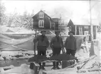 Lyckad säljakt i Saltvik, Idenors socken i Hälsingland. Personerna från vänster: Johan Norling, brodern Edvard och fadern Janne Norling, samtliga fiskare. Fotot möjligen taget av någon i familjen. Johan Norling var känd som amatörfotograf och (under senare år) konstnär i Hudiksvall.