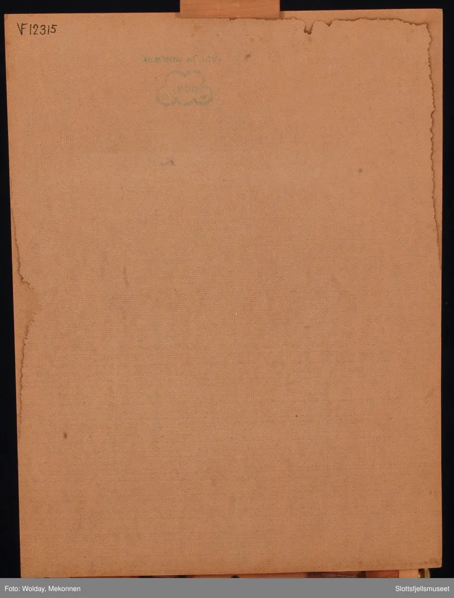 Tønsbergs gamle kirke (Mariakirken) og hund