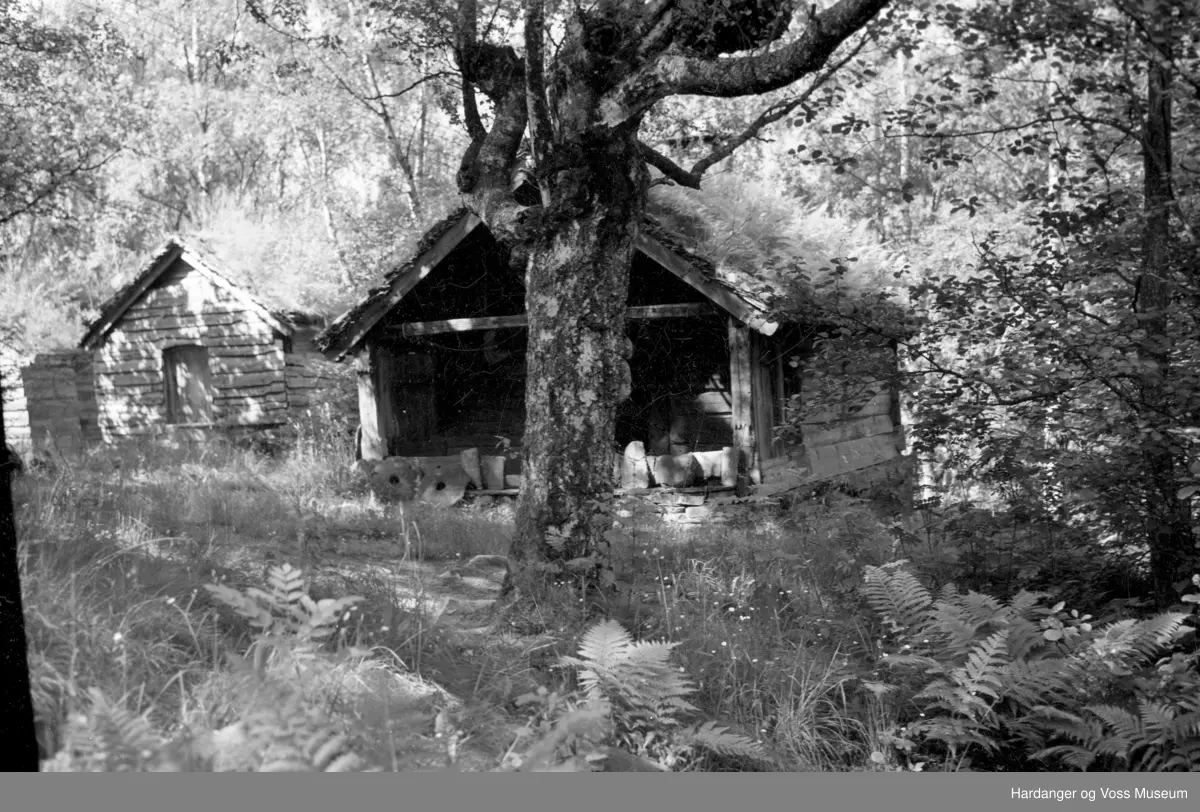 Gamle hus