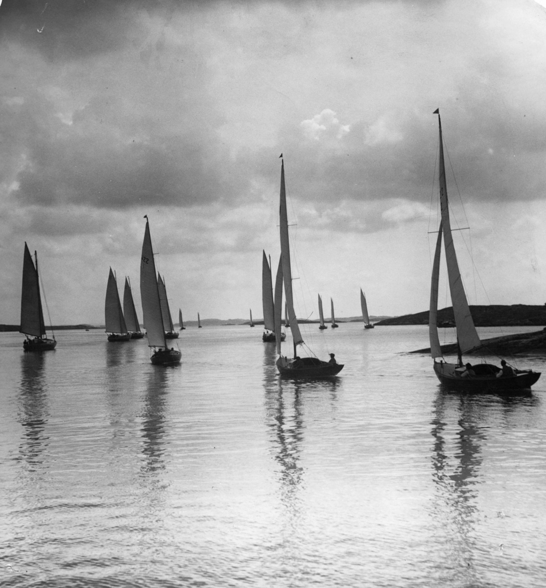 Kosterbåtar och långedragsjullar.

"Långedragsbåtar och kosterbåtar ha båda den egenskapen att kunna röra på sig i lätt vind" [---]