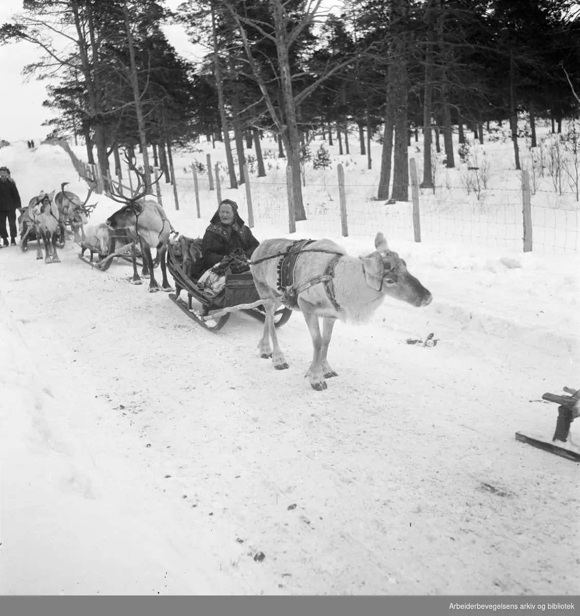 Tilbake til vidda etter vårmarkedet i Bossekop, 1939.